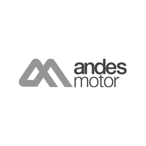 Logo Andes Motor